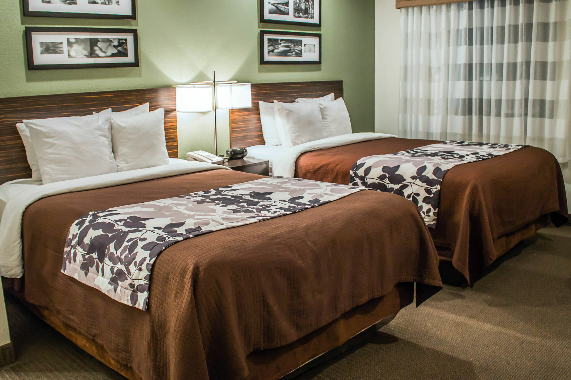 Sleep Inn Саммерсвилл Экстерьер фото