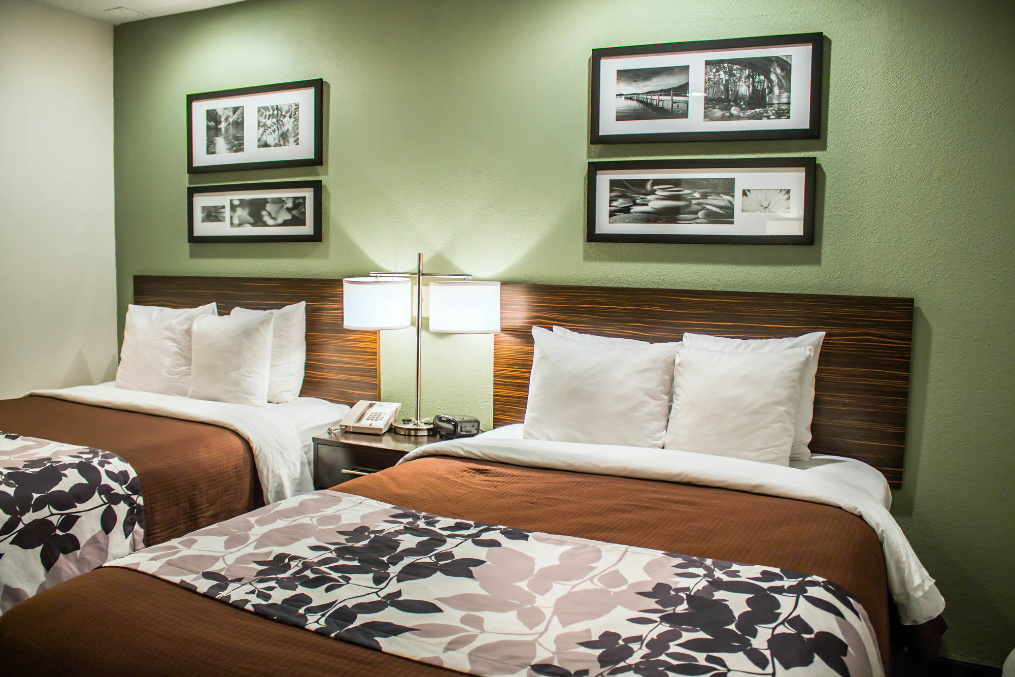 Sleep Inn Саммерсвилл Экстерьер фото